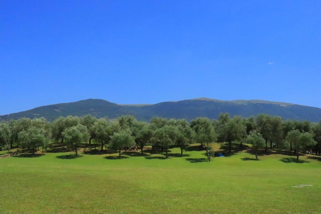 Agriturismo Il Casale Di Monica Rivotorto Ngoại thất bức ảnh
